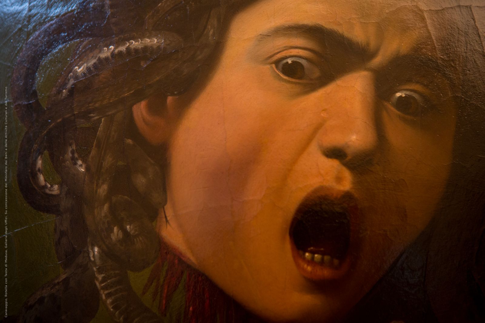 Caravaggio, Rotella con Testa di Medusa, Gallerie degli Uffizi. Su concessione del Ministero dei Beni e delle Attività Culturali e del Turismo