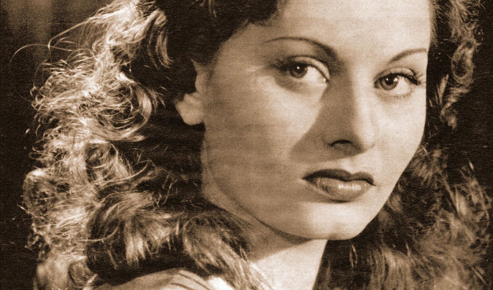 Sofia Loren_SOGNO 1950_MOMA