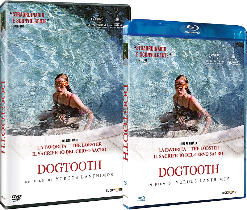 Dogtooth_DVD+BD