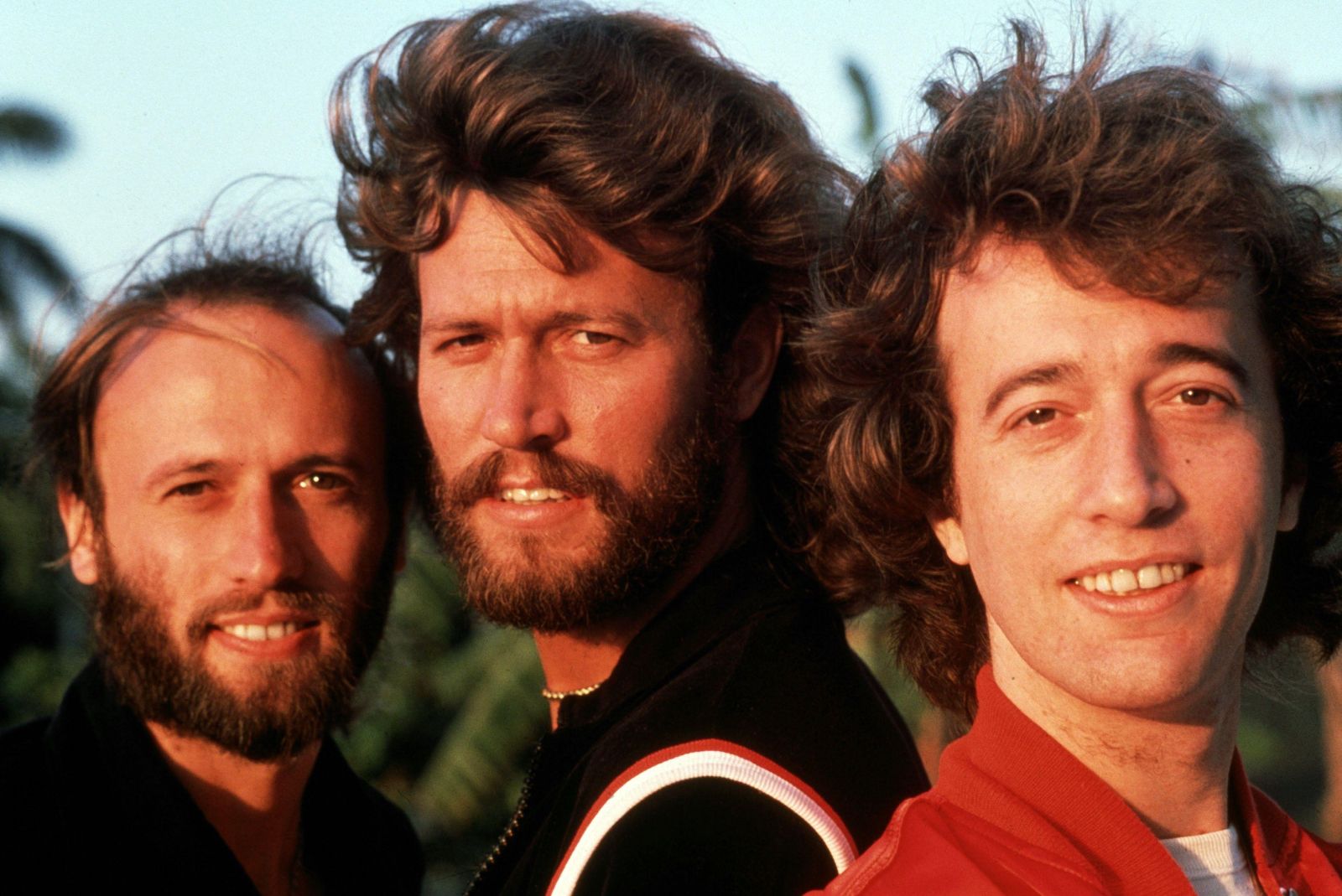 The Bee Gees 0