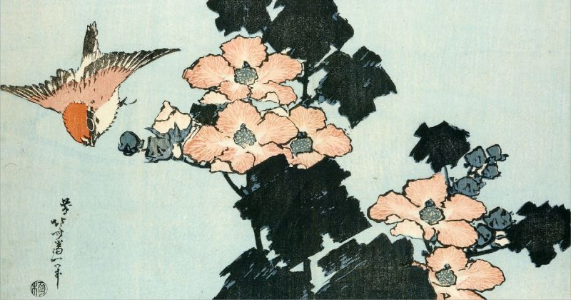Weeping cherry and bullfinch. Colour woodblock print, c. 1834.