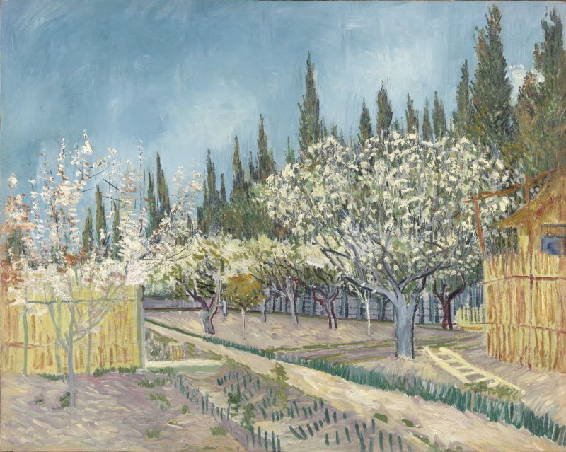 KM 108.685 Orchard bordered by cypresses, April 1888