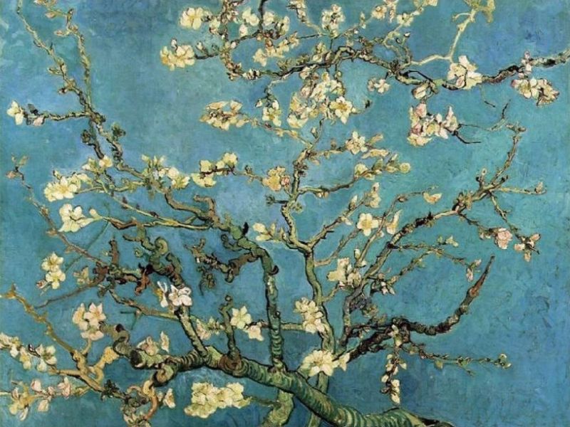 Van Gogh e il Giappone 1