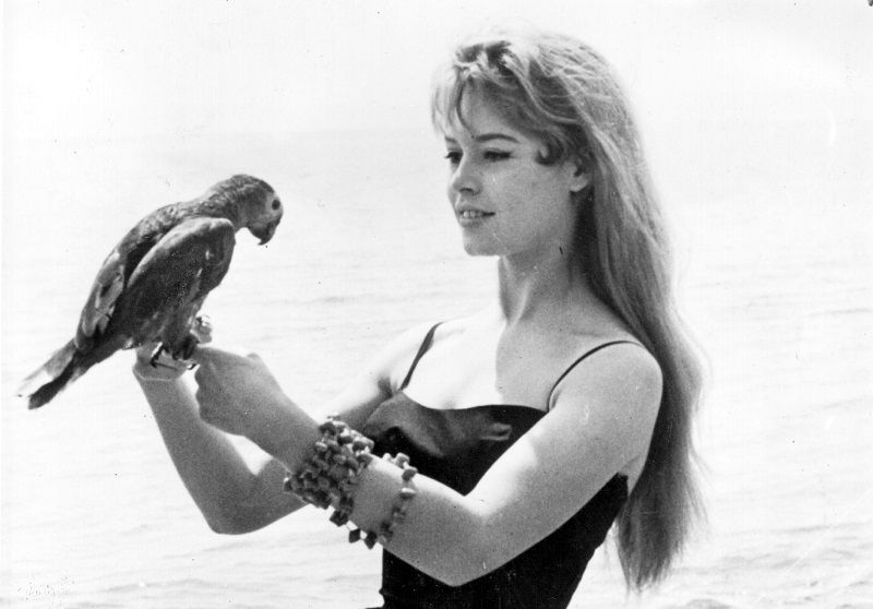 16th May 1956:  Brigitte Bardot, originally Camille Javal, began her career as a model and ballet student. Her first film was 'Le Trou Normand' in 1952 which followed from an appearance of her on the cover of Elle magazine. Brigitte became a celebrated sex symbol of the 1960's, she did much to popularise French cinema internationally. Included amongst her most popular films are 'And God Created Woman' (1950), 'Viva Maria (1956) and 'Shalako' (1968).  (Photo by Topical Press Agency/Getty Images)