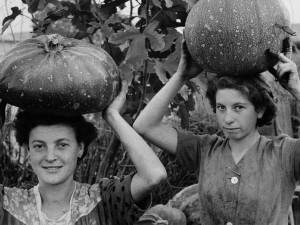 DONNA due giovani raccoglitrici di zucche, ne portano via una ciascuno trasportandola sulla testa.  fotografia di Ando Gilardi (parte della mostra Olive e bulloni - Ando Gilardi Lavoro contadino e operaio nell'Italia del dopoguerra 1950-1962) Qualiano (NA) 1955 circa
